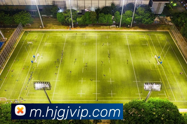 数据防护可视化